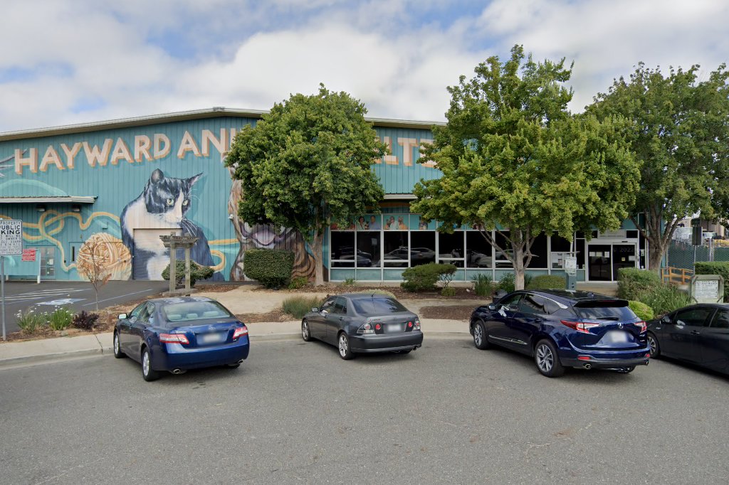 Hayward Animal Shelter