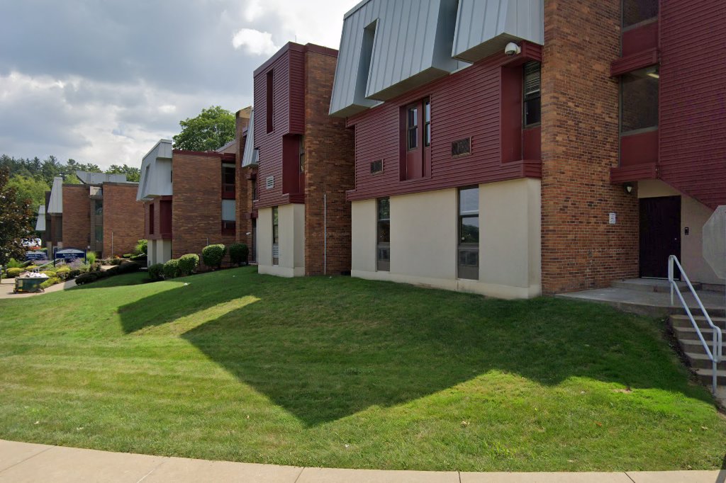 Robert Morris University