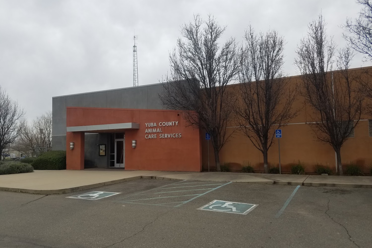 Yuba County Animal Control