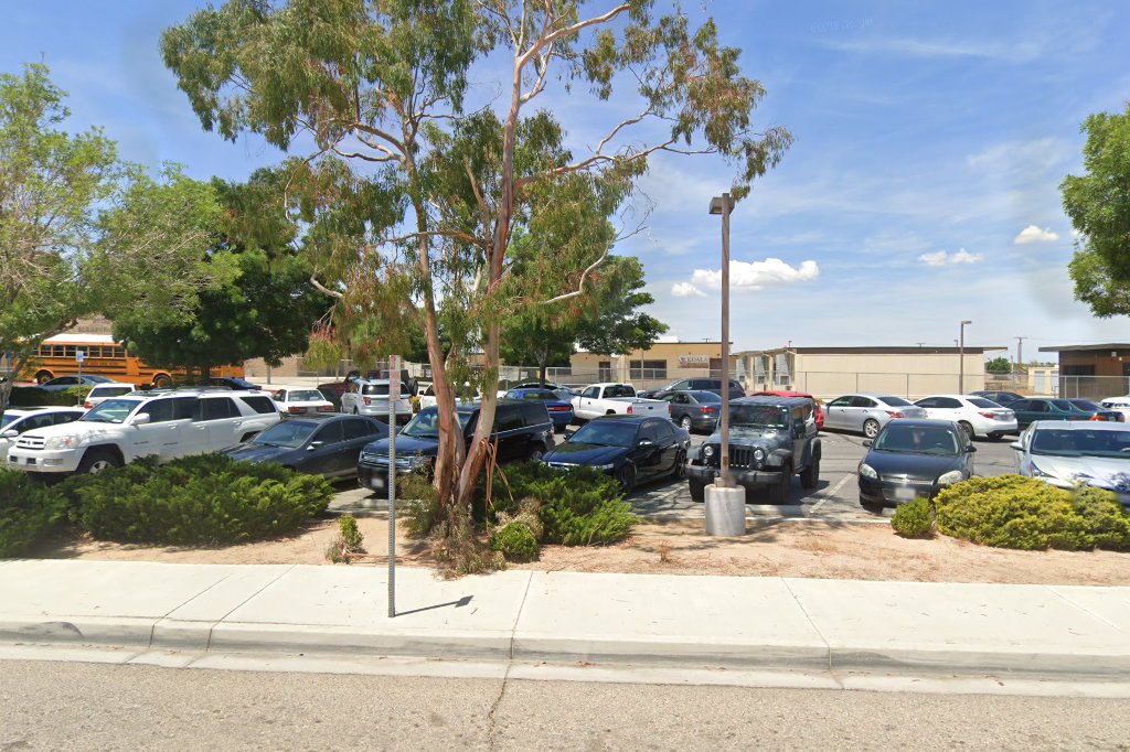 Eucalyptus School