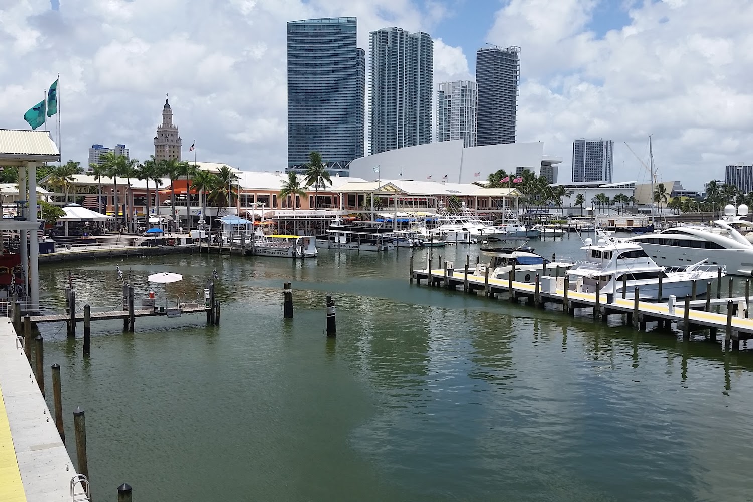 Goodwill Miami