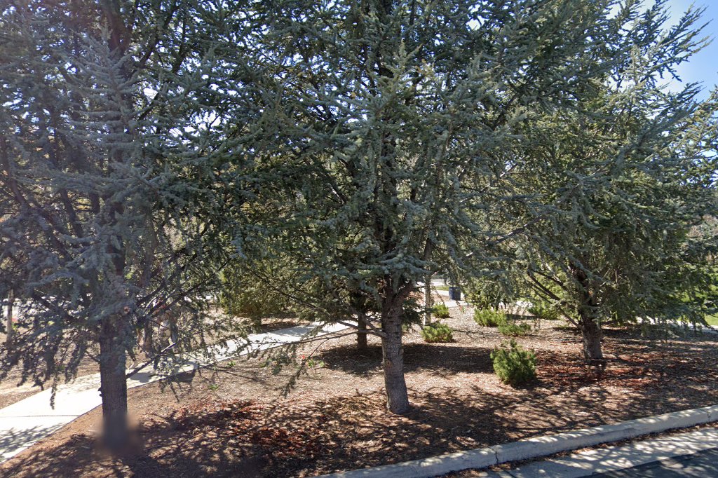 Olympus Junior High School