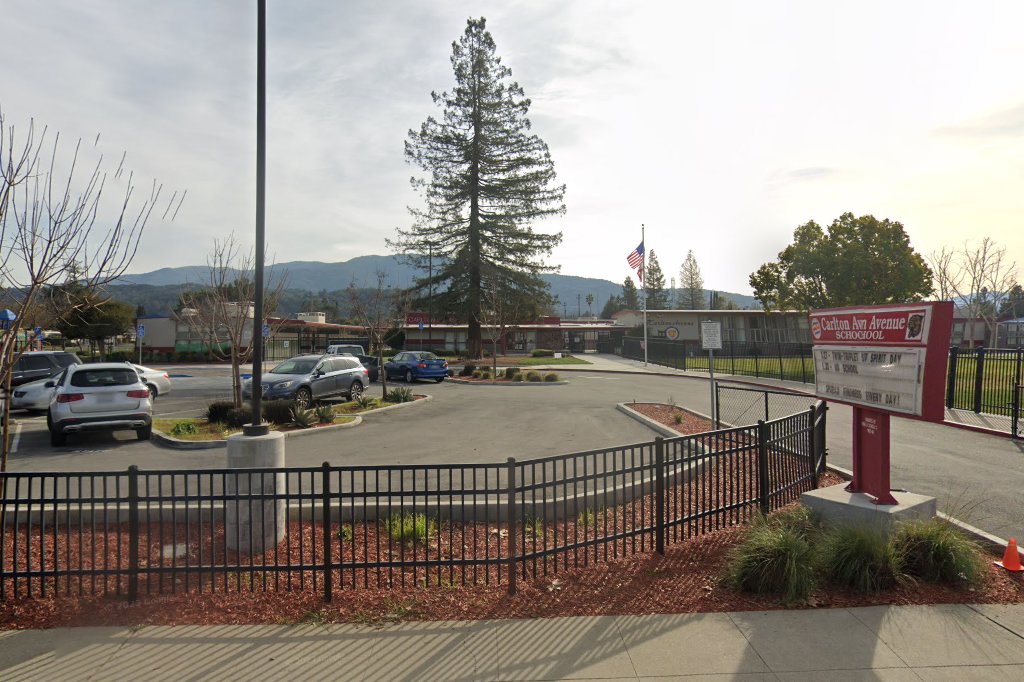 Carlton Avenue School