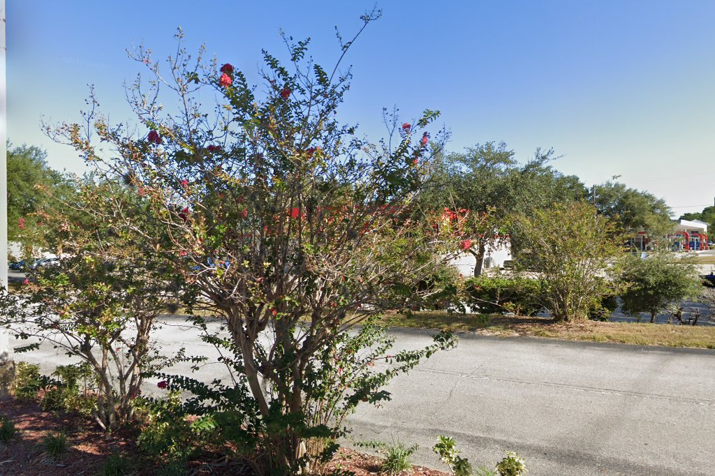 Goodwill Spring Hill