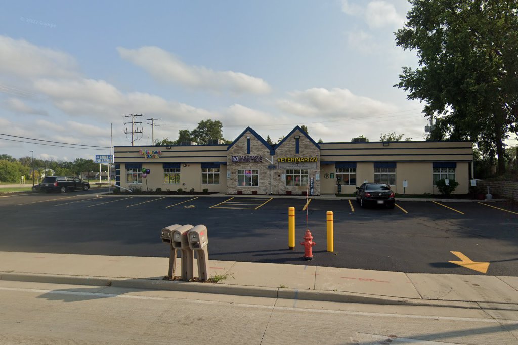 American Veterinary Clinic