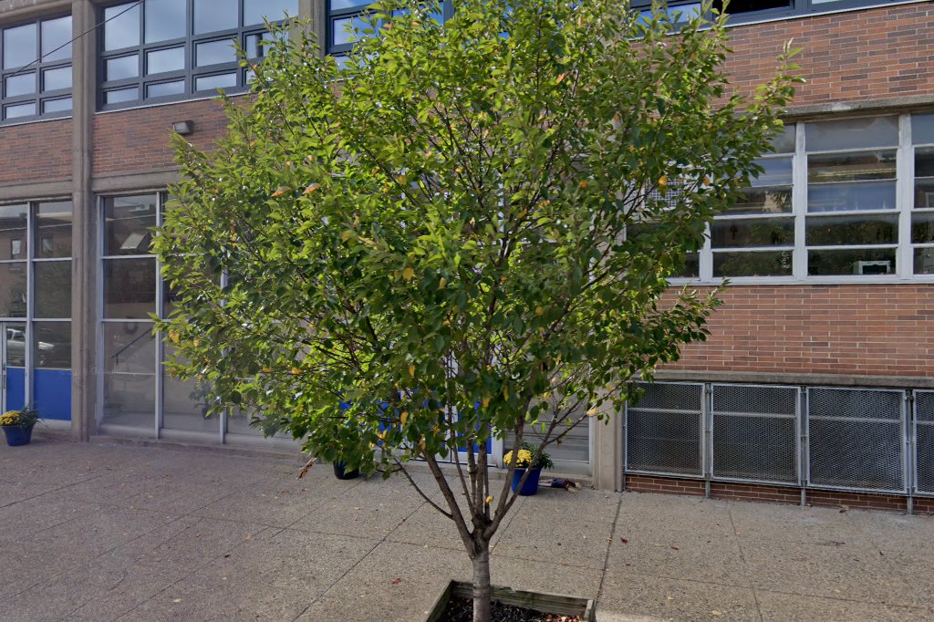 St Monica School