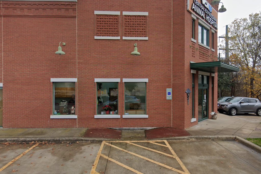 VCA Central Expressway Animal Hospital