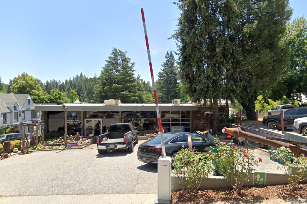 Forest Charter School