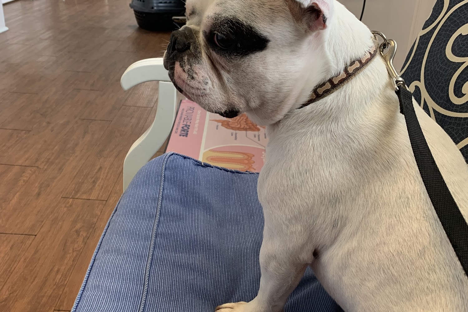 North Pines Animal Hospital