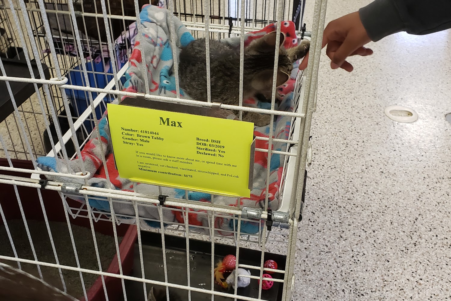 Crossroads Animal Shelter