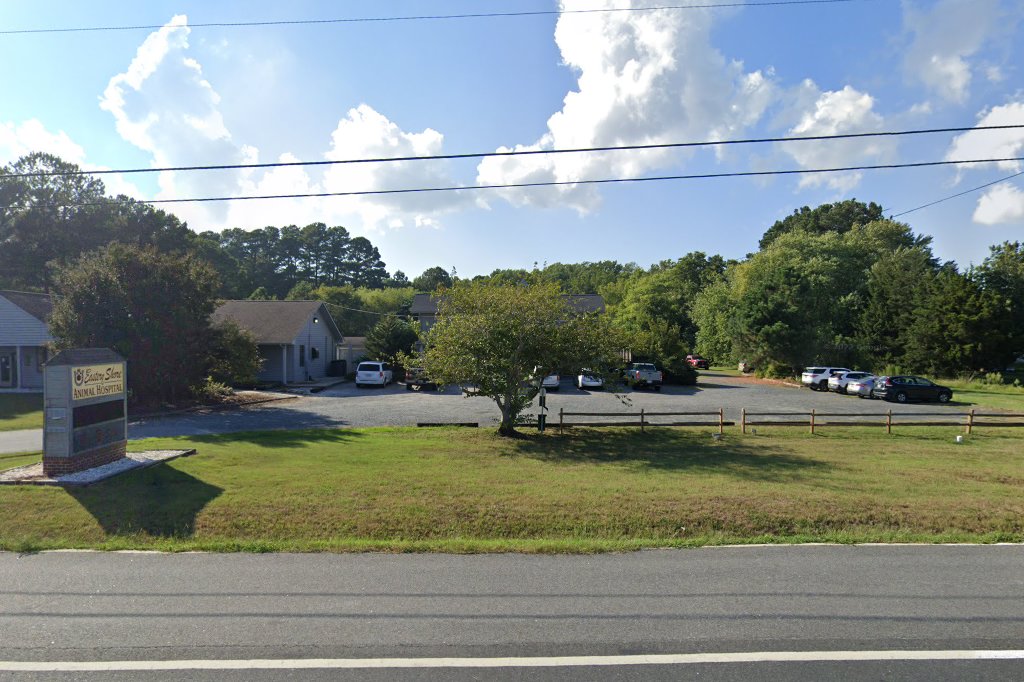Eastern Shore Animal Hospital