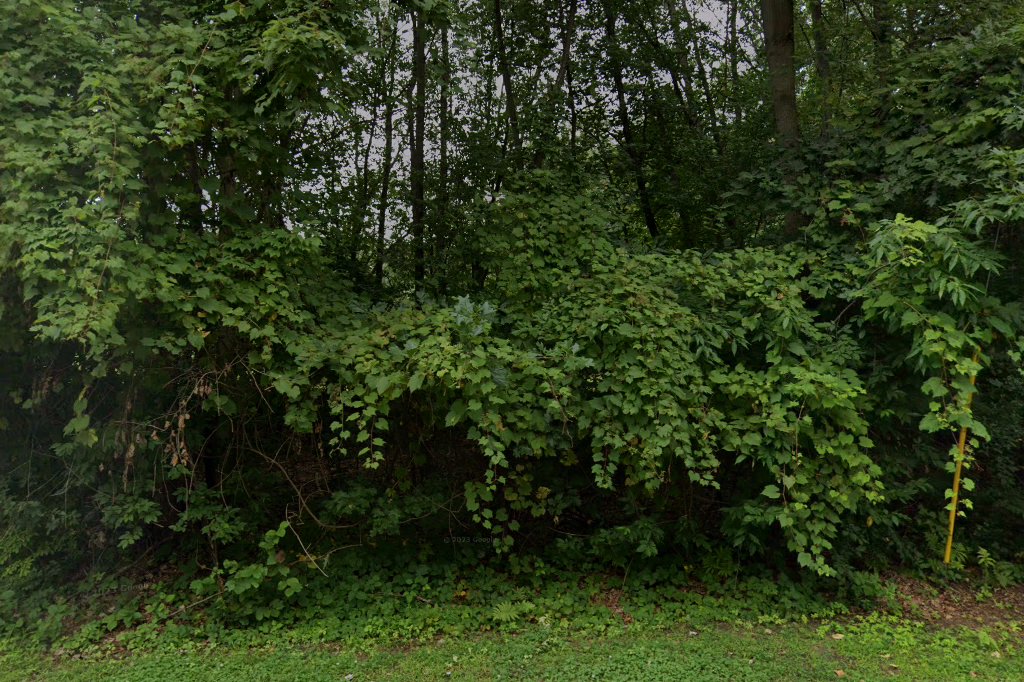 Sylvan Beach Village Court