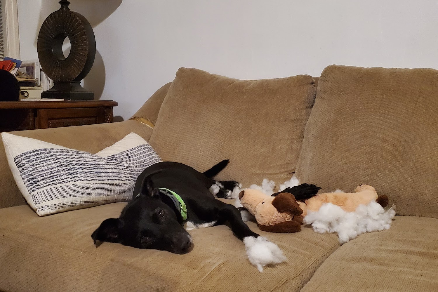 TLC Veterinary Hospital