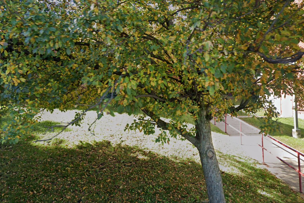 Lasalle Academy