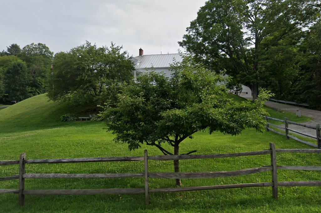 The Newton School