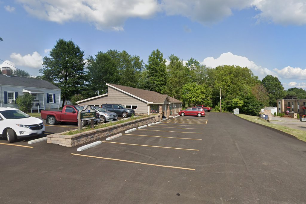 Champion Animal Hospital