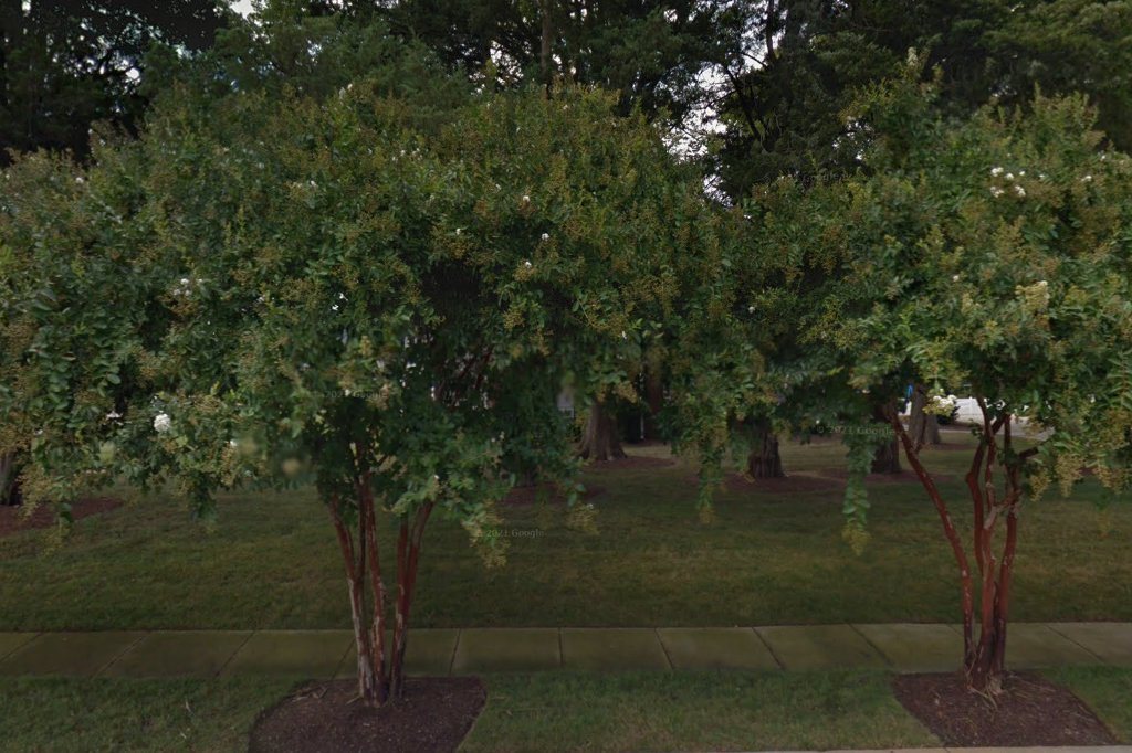 Rollingwood Academy