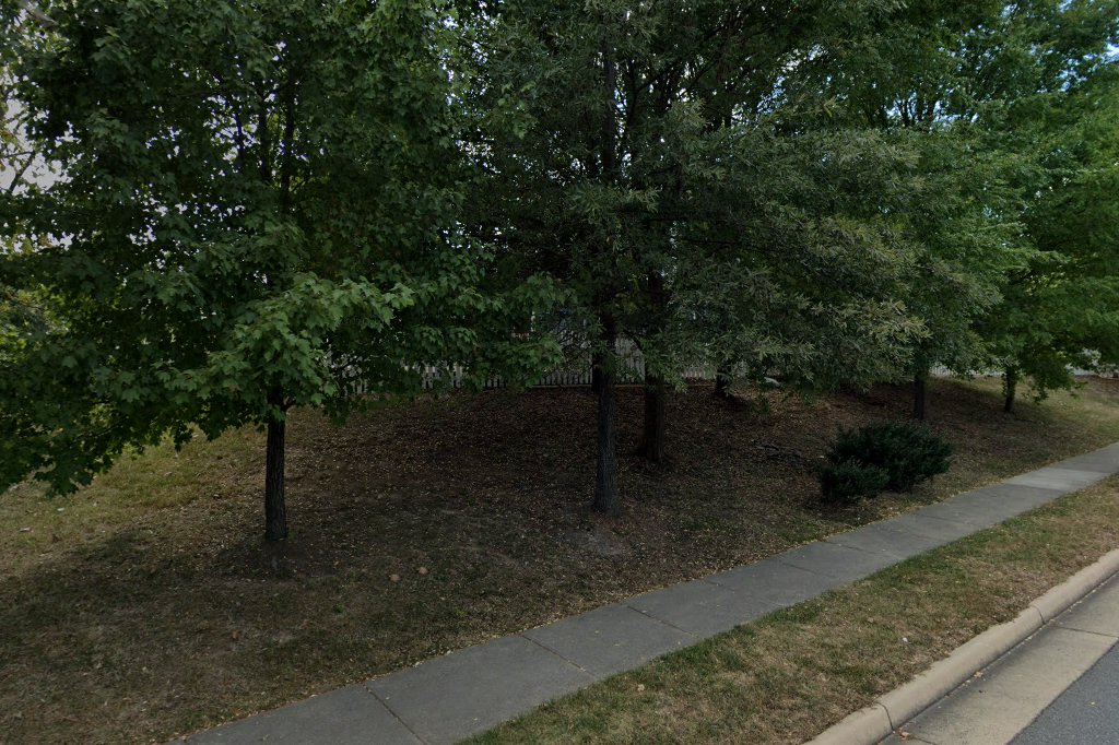 Montessori Academy at Belmont Greene