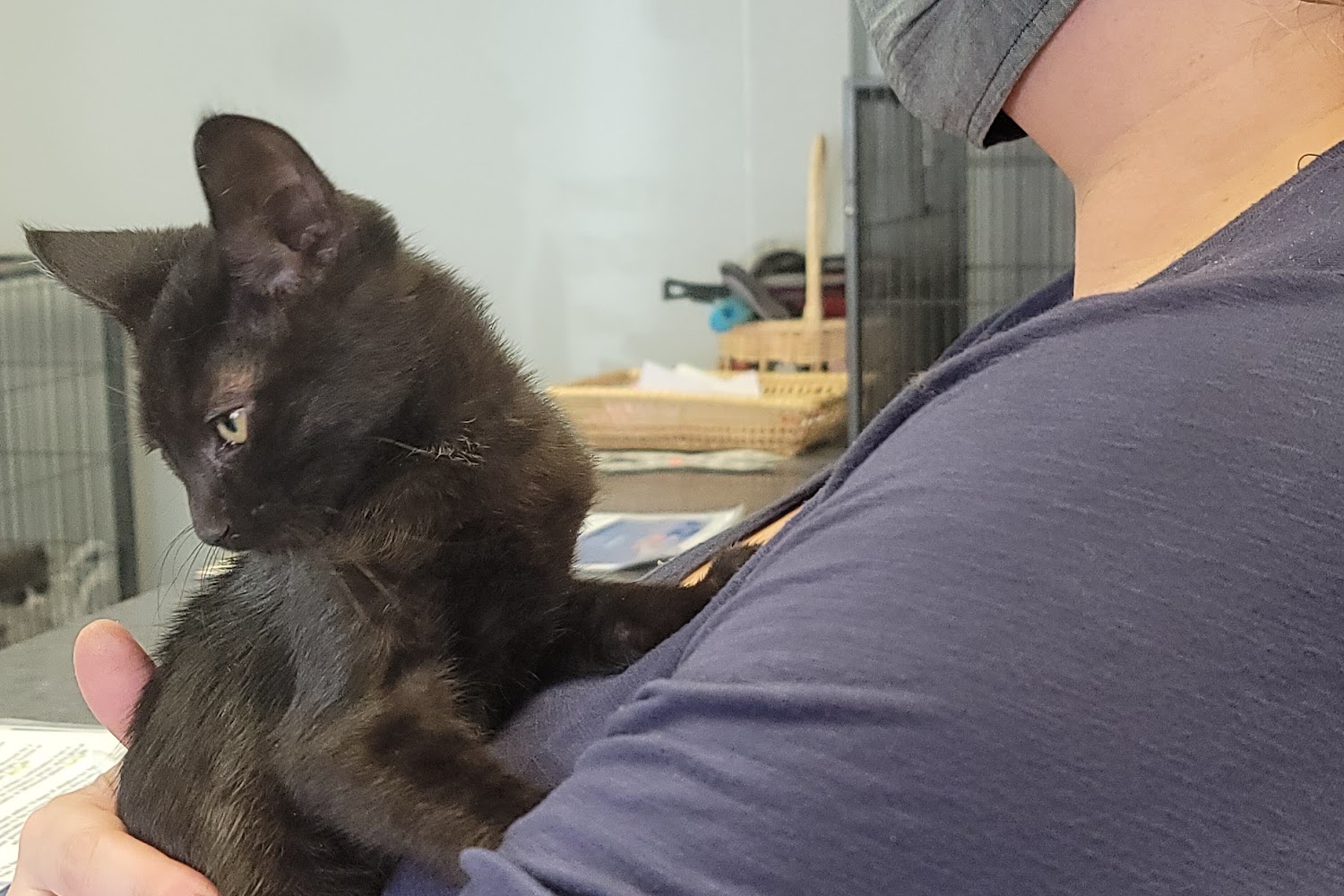 Humane Society of Cowlitz County