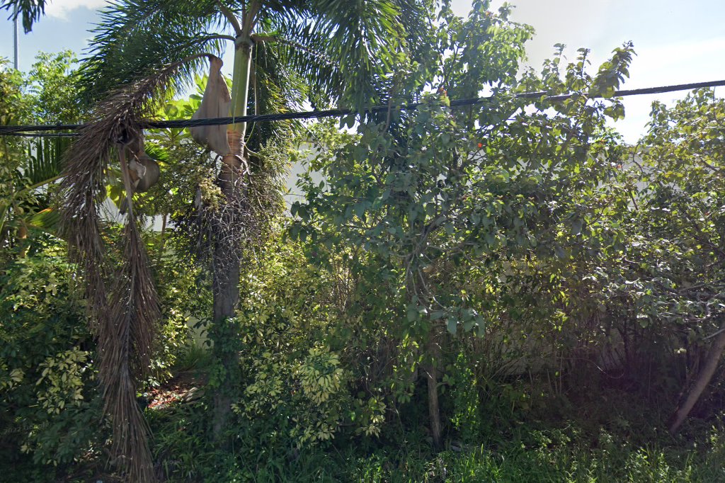 Fort Lauderdale High School