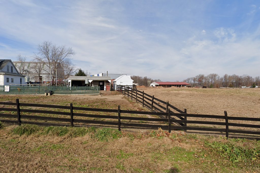 Wood Burn Hill School