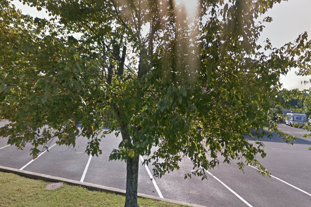 Kingwood Passport Office