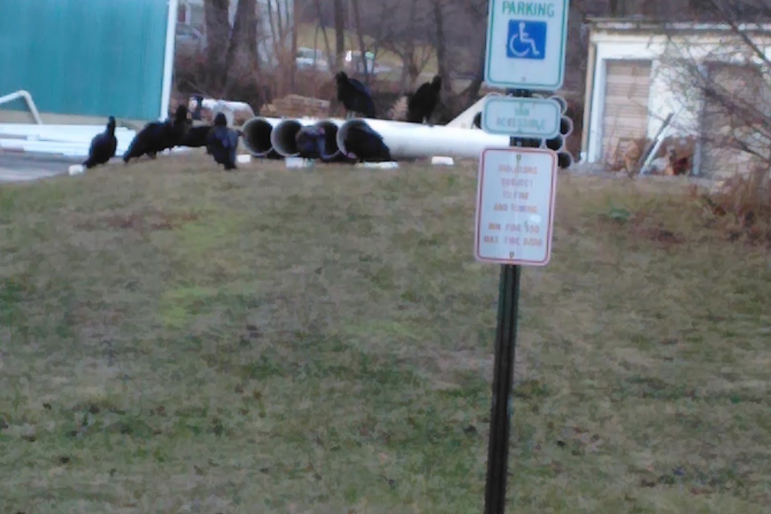 Northampton County Housing Authority