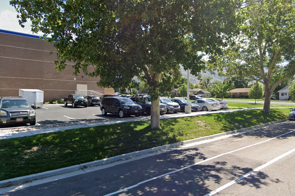Dale Young Community High School