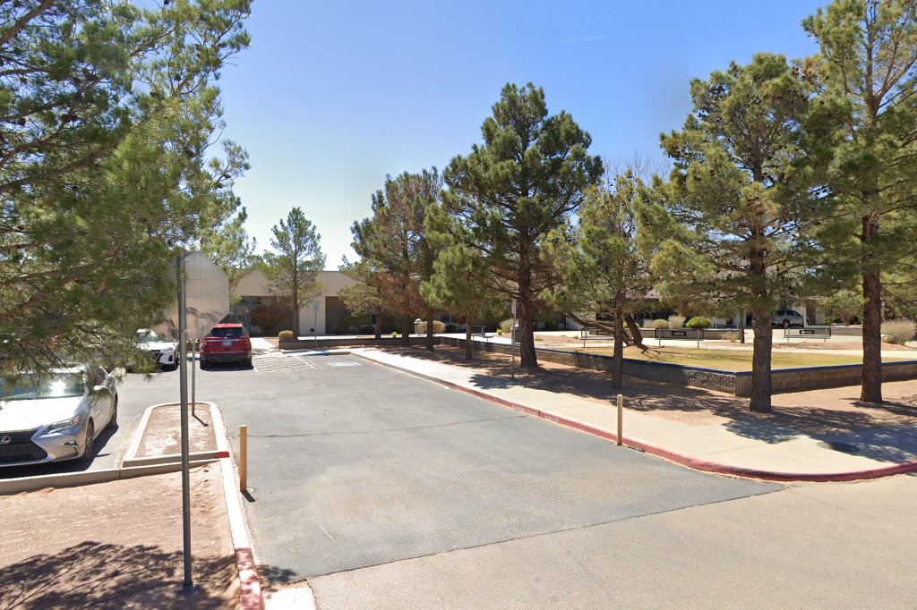 Mountain View Learning Academy