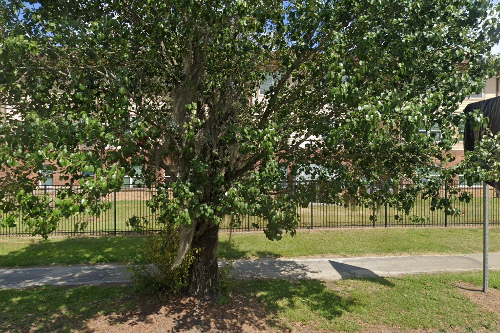 University of South Carolina Salkehatchie