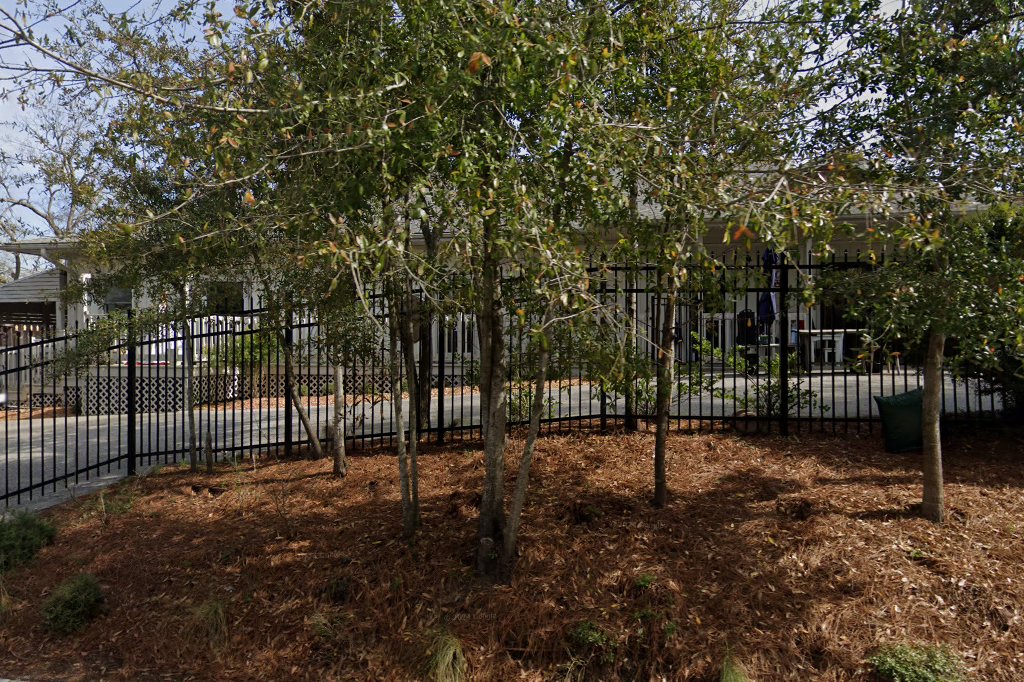Montessori School of Mount Pleasant