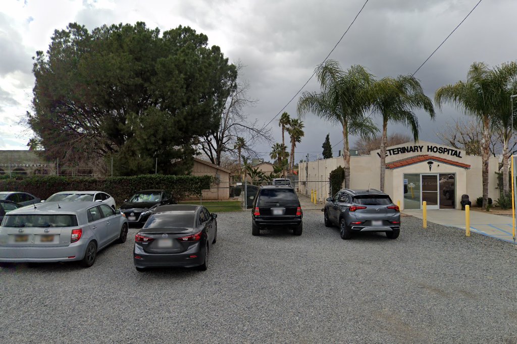 Wilds Veterinary