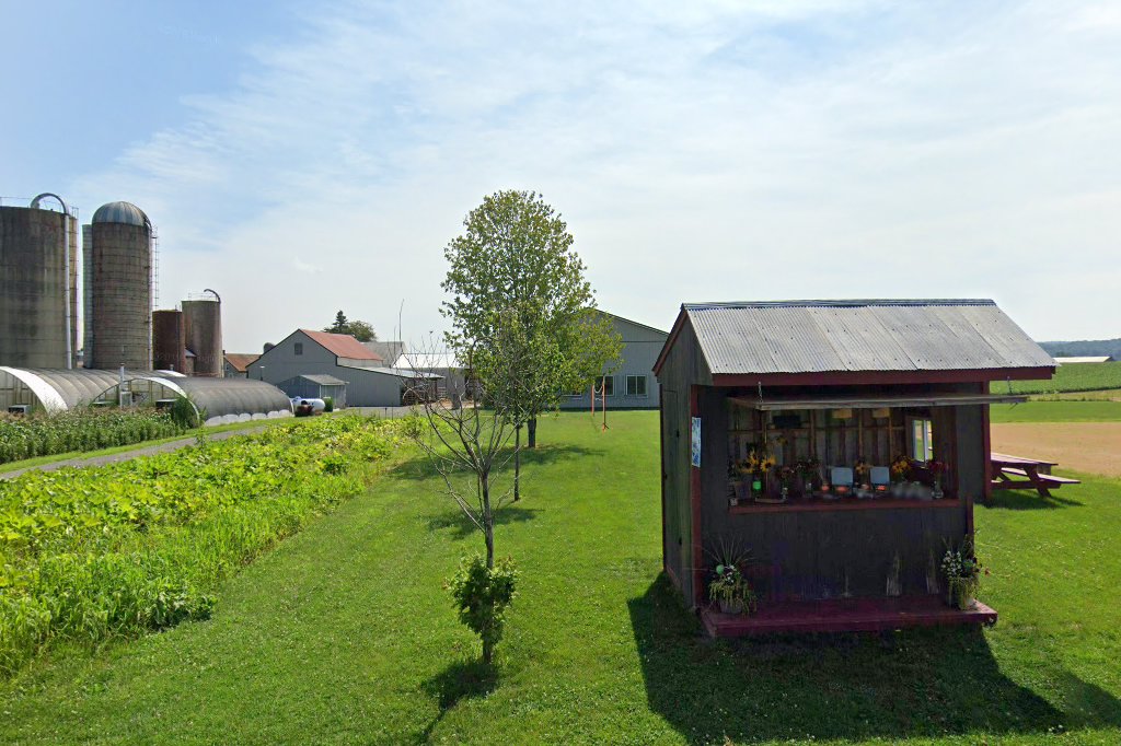 Oak Haven School