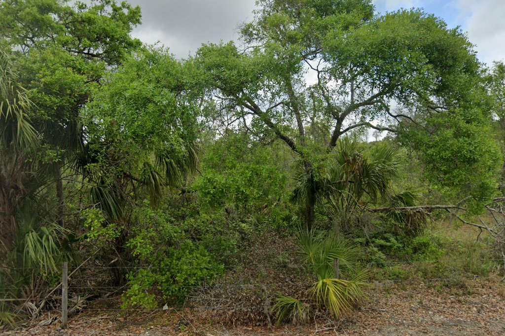 Florida Sheriff's Youth Ranch School