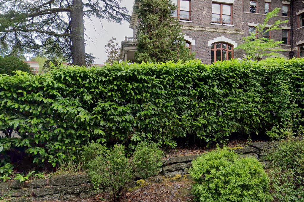 Seattle Hebrew Academy Elementary