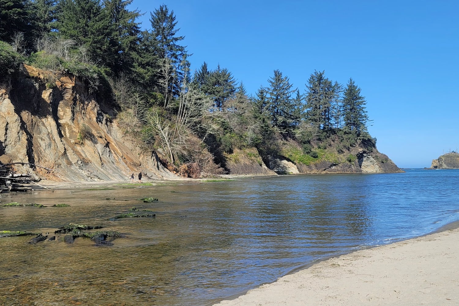 Friends of Coos County Animals