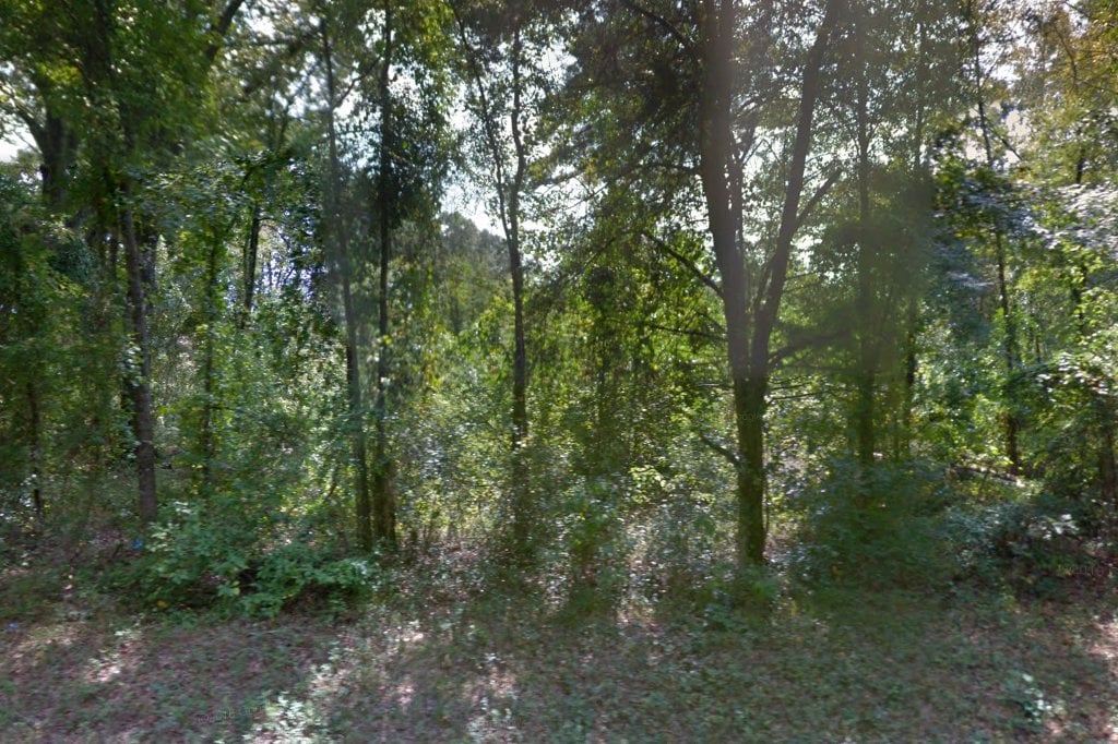 Tiger Creek Wildlife Refuge