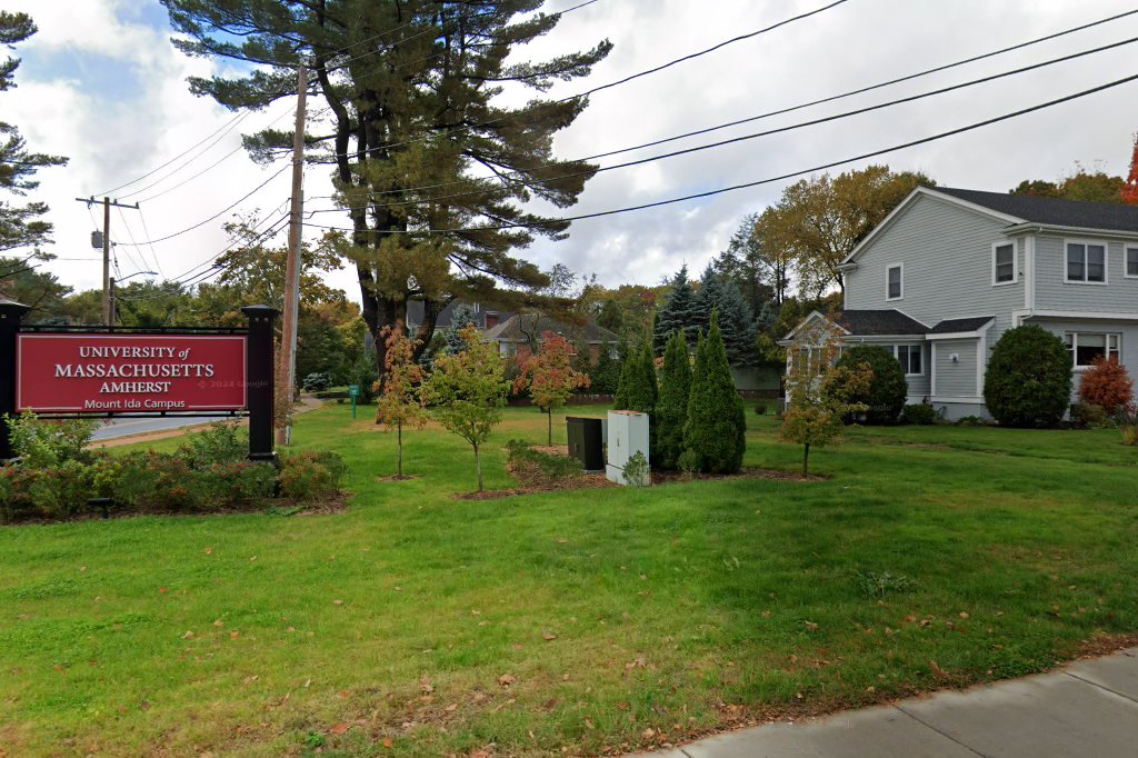 Mount Ida College