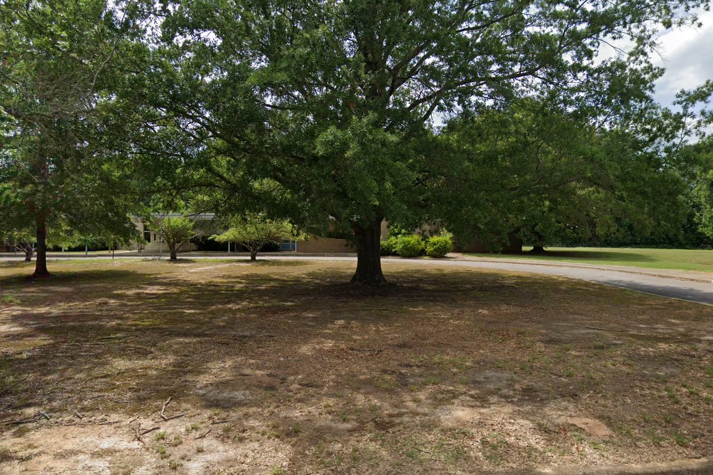 W Townes Lea Elementary School