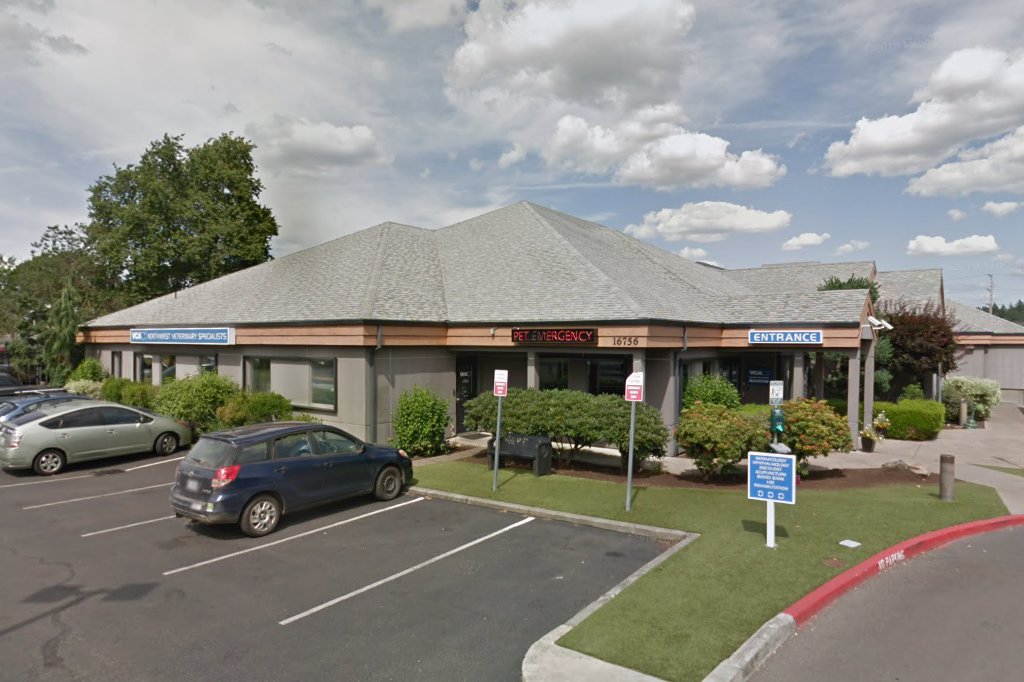 Northwest Veterinary Speclsts