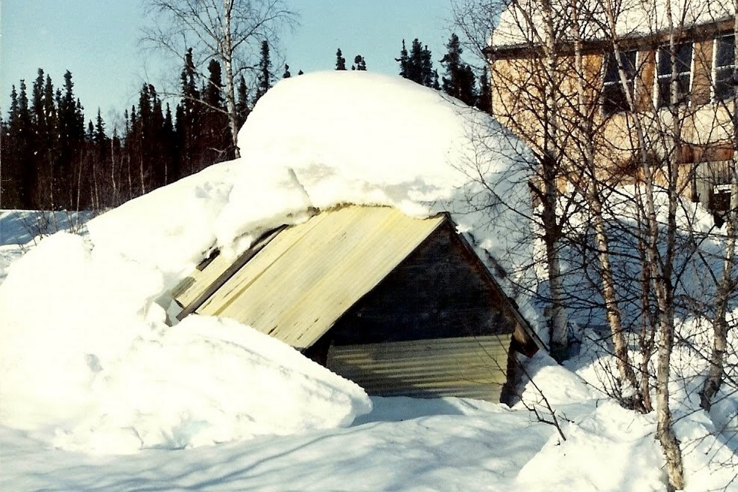 Trapper Creek DMV Office