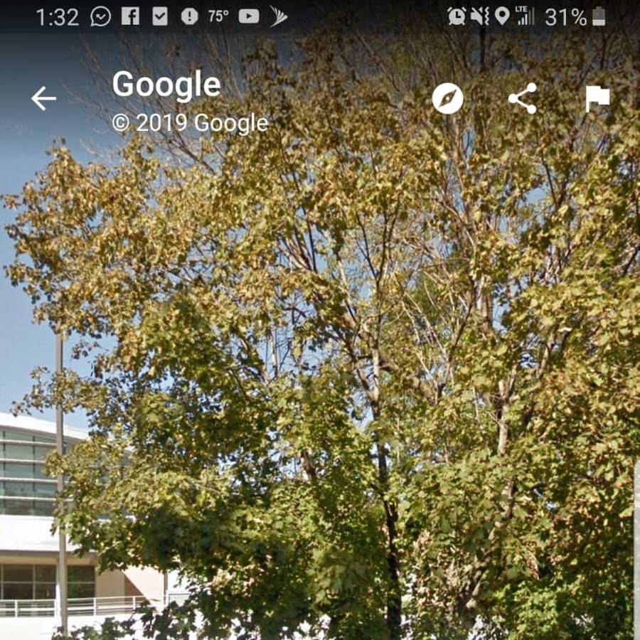 Bruce F Vento Learning Center