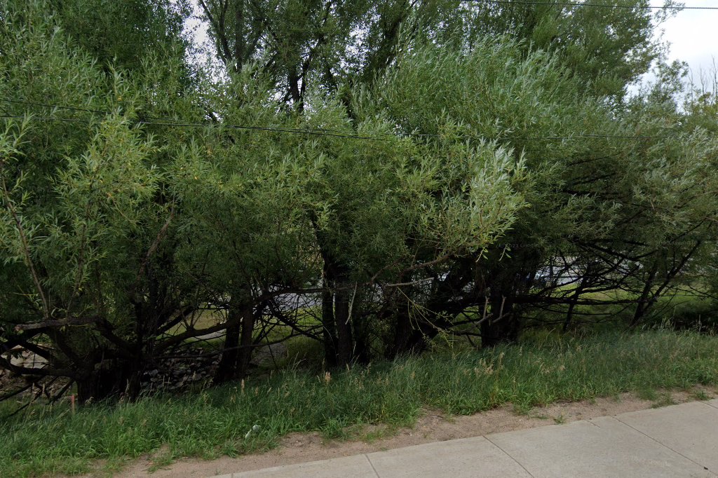 Evergreen Registration & Title Office