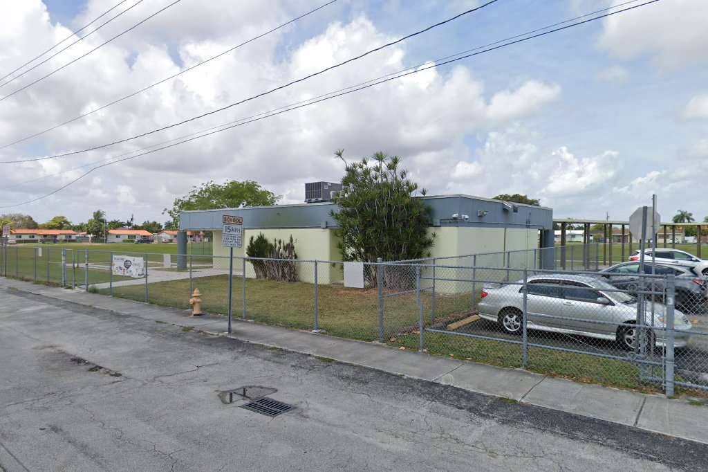 Village High School