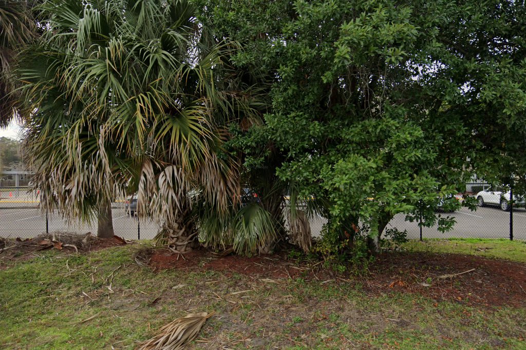 Duval Charter School at Arlington