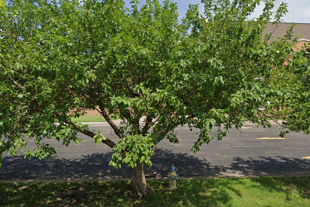 Oakdale Elementary School