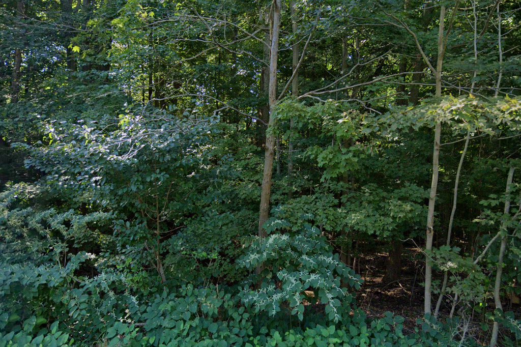 Randolph Municipal Pound