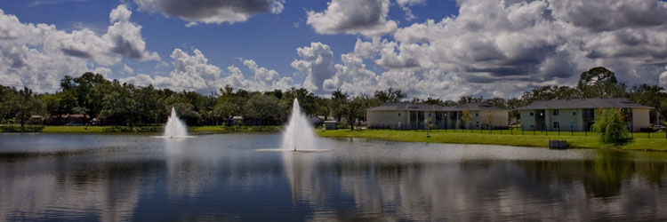 Brentwood Lakes