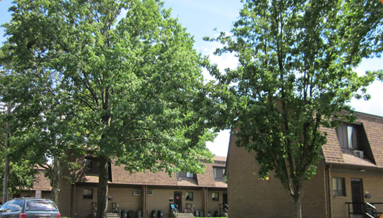 De Vries Park