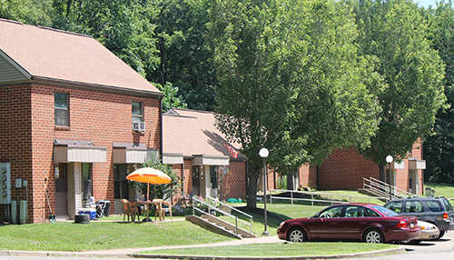 Laurel Hill